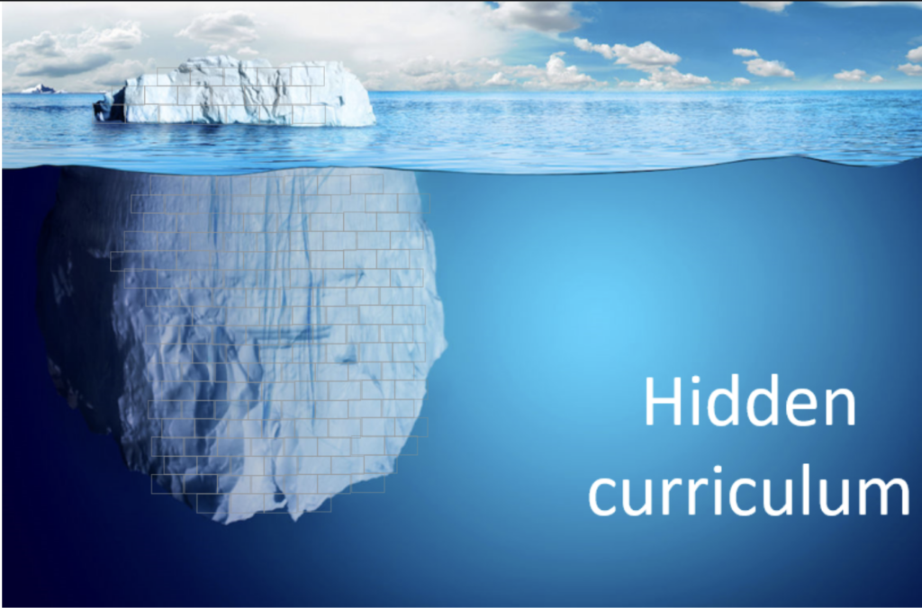Hidden Curriculum: an iceberg overlaid with building-block grid appears with 1/7th visible above the water line and 7/8ths below. 